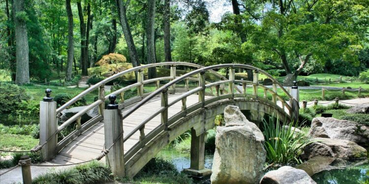 Proverbio japonés semana fortalecer confianza
