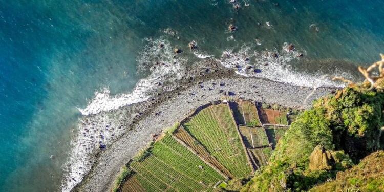 Científicos vertieron toneladas hierro océano