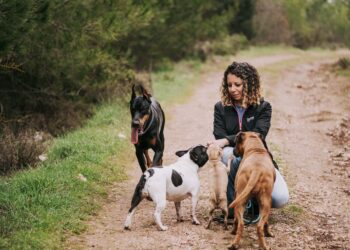 Busca nuevos habitantes cuidar animales