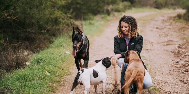 Busca nuevos habitantes cuidar animales