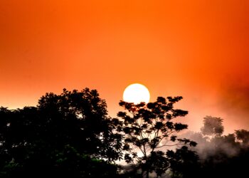 Mientras Europa todavía enfrenta una ola de calor, científicos afirman que la temperatura de la Tierra aumentará 2 °C con El Super El Niño