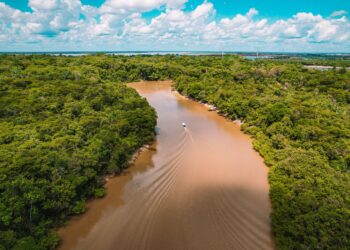 Los incendios amazonía ocurrían existencia