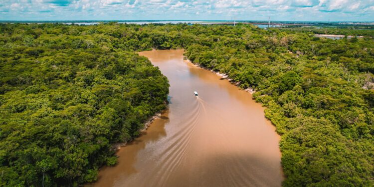 Los incendios amazonía ocurrían existencia