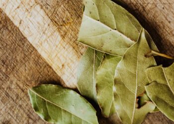 Poner una hoja laurel vaso
