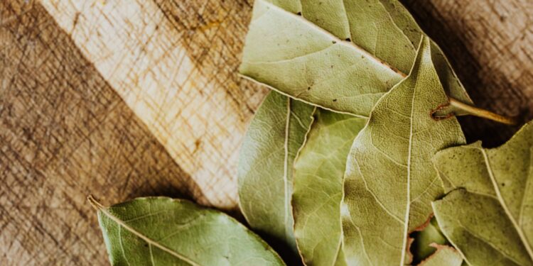 Poner una hoja laurel vaso