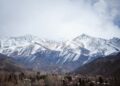 Argentina busca voluntarios para vivir gratis al pie de la cordillera de los Andes, con alojamiento y 3 comidas al día, a cambio de colaborar en un viñedo