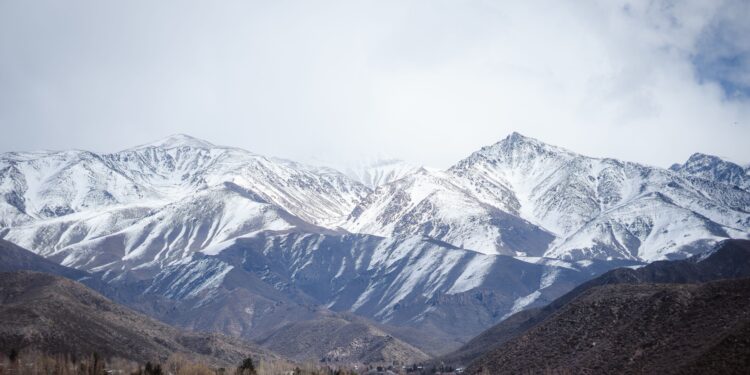 Argentina busca voluntarios para vivir gratis al pie de la cordillera de los Andes, con alojamiento y 3 comidas al día, a cambio de colaborar en un viñedo