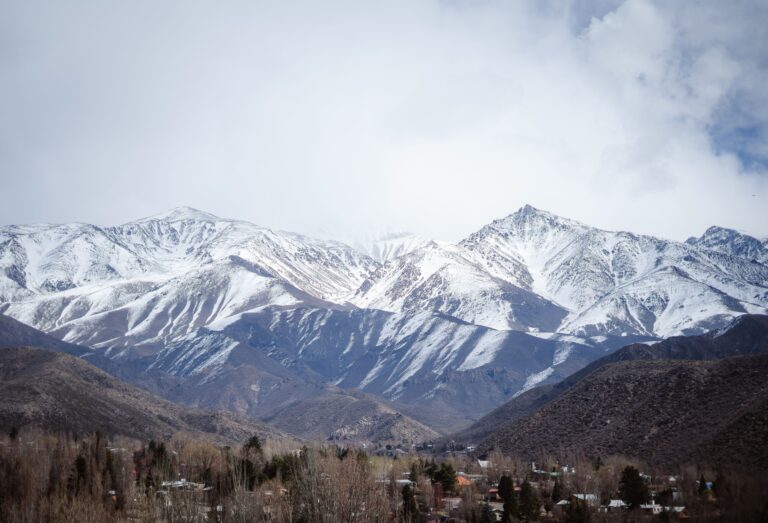 Argentina busca voluntarios para vivir gratis al pie de la cordillera de los Andes, con alojamiento y 3 comidas al día, a cambio de colaborar en un viñedo