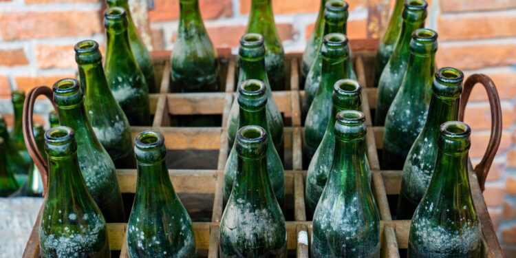 Poco después de ser despedidos, recolectaron 10.000 botellas de vidrio y construyeron una casa de 70 m²