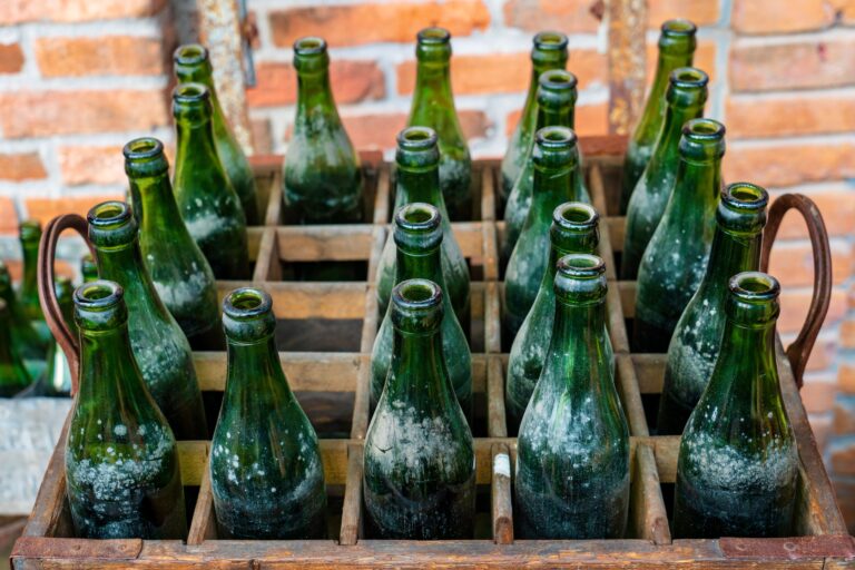 Poco después de ser despedidos, recolectaron 10.000 botellas de vidrio y construyeron una casa de 70 m²