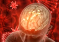 El hambre activa células cerebrales que pueden aumentar la atracción por el alcohol, revela un estudio