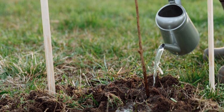 El agua del aire acondicionado puede ayudar a cuidar el jardín y tener otros usos en casa