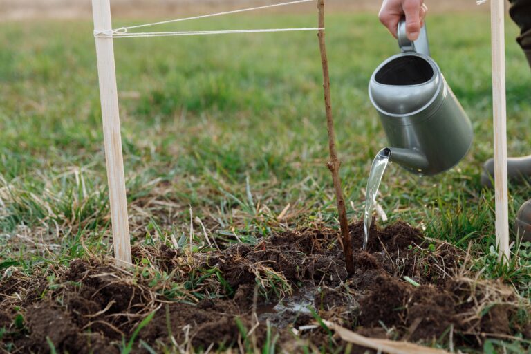 El agua del aire acondicionado puede ayudar a cuidar el jardín y tener otros usos en casa