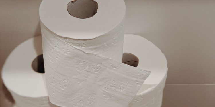 El reinado del papel higiénico en el baño está llegando a su fin: millones de personas ya utilizan la nueva tendencia