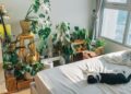 Plantas interior ayudan dormir mejor