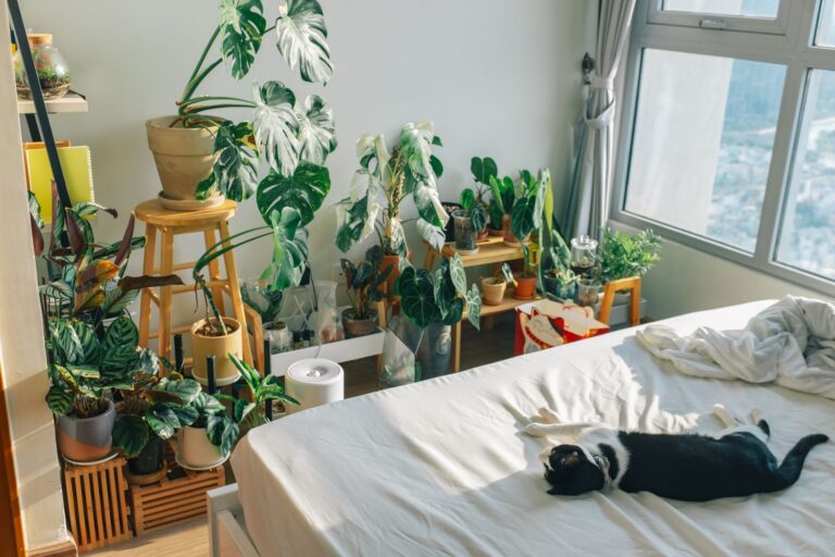 Plantas interior ayudan dormir mejor