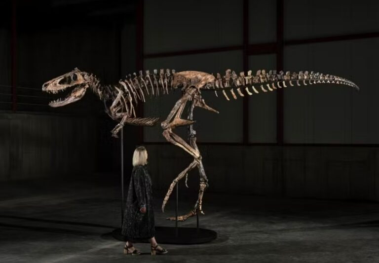 Un fósil de Nanotyrannus se vende en una subasta por la impresionante cifra de 252,7 millones de reales