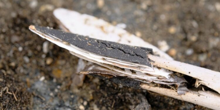 Arqueólogos encuentran flechas de hasta 6.000 años preservadas en el hielo