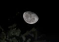 Una muestra del suelo de la cara oculta de la Luna, recogida por China, contiene un mineral que no debería existir