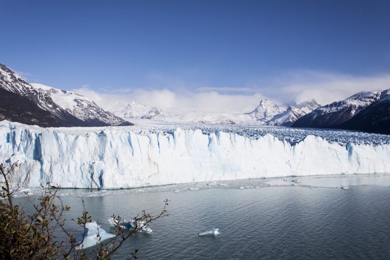 Cuatro estudiantes cubren glaciar con