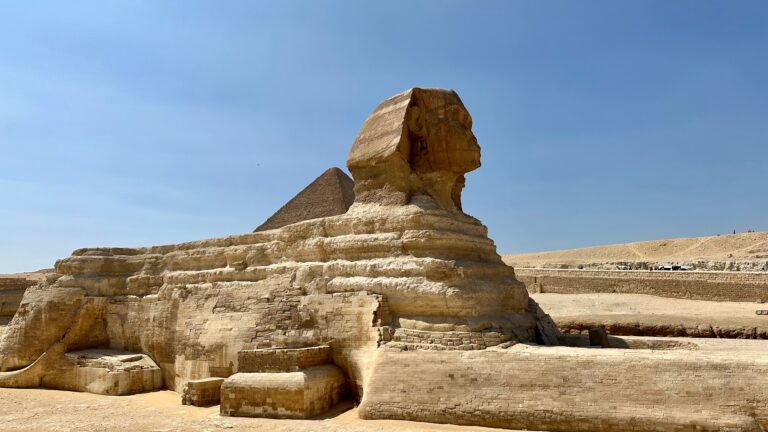 Un estudio del Reino Unido sobre la Gran Esfinge de Egipto descubre una nueva especie animal oculta entre sus rocas