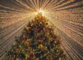 Reinado del árbol navidad tradicional