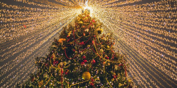 Reinado del árbol navidad tradicional