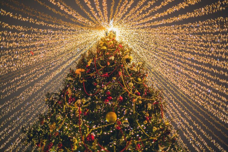 Reinado del árbol navidad tradicional