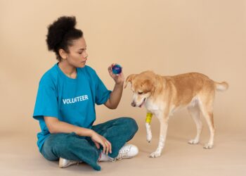 Busca voluntarios cuidar animales con