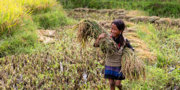 Lao tsé filósofo chino viaje