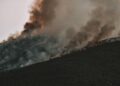 Los científicos emiten una alerta