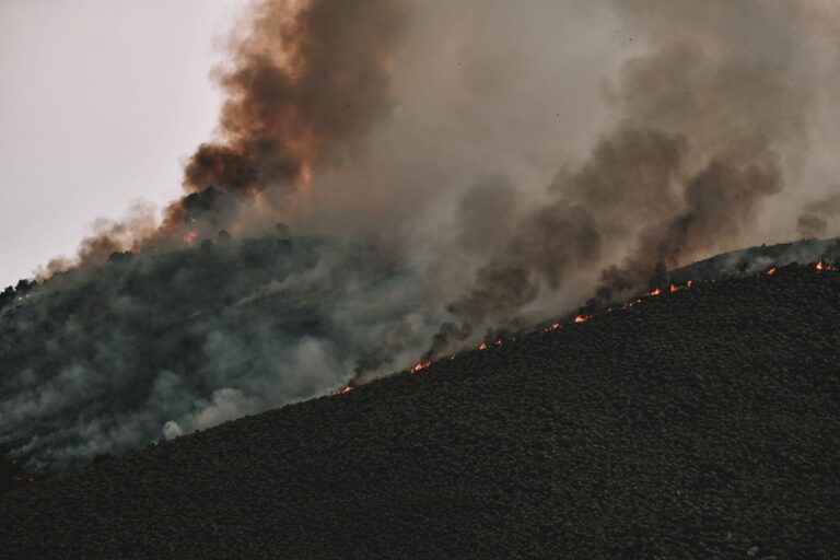 Los científicos emiten una alerta