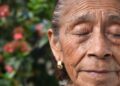 Los humanos podrán dejar envejecer