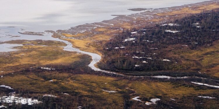 Nasa detecta cambio impresionante alaska