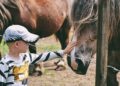 Un estudio revela un efecto sorprendente de la interacción con caballos en niños autistas