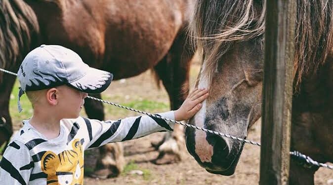 Un estudio revela un efecto sorprendente de la interacción con caballos en niños autistas