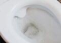 Rociar vinagre blanco alrededor del