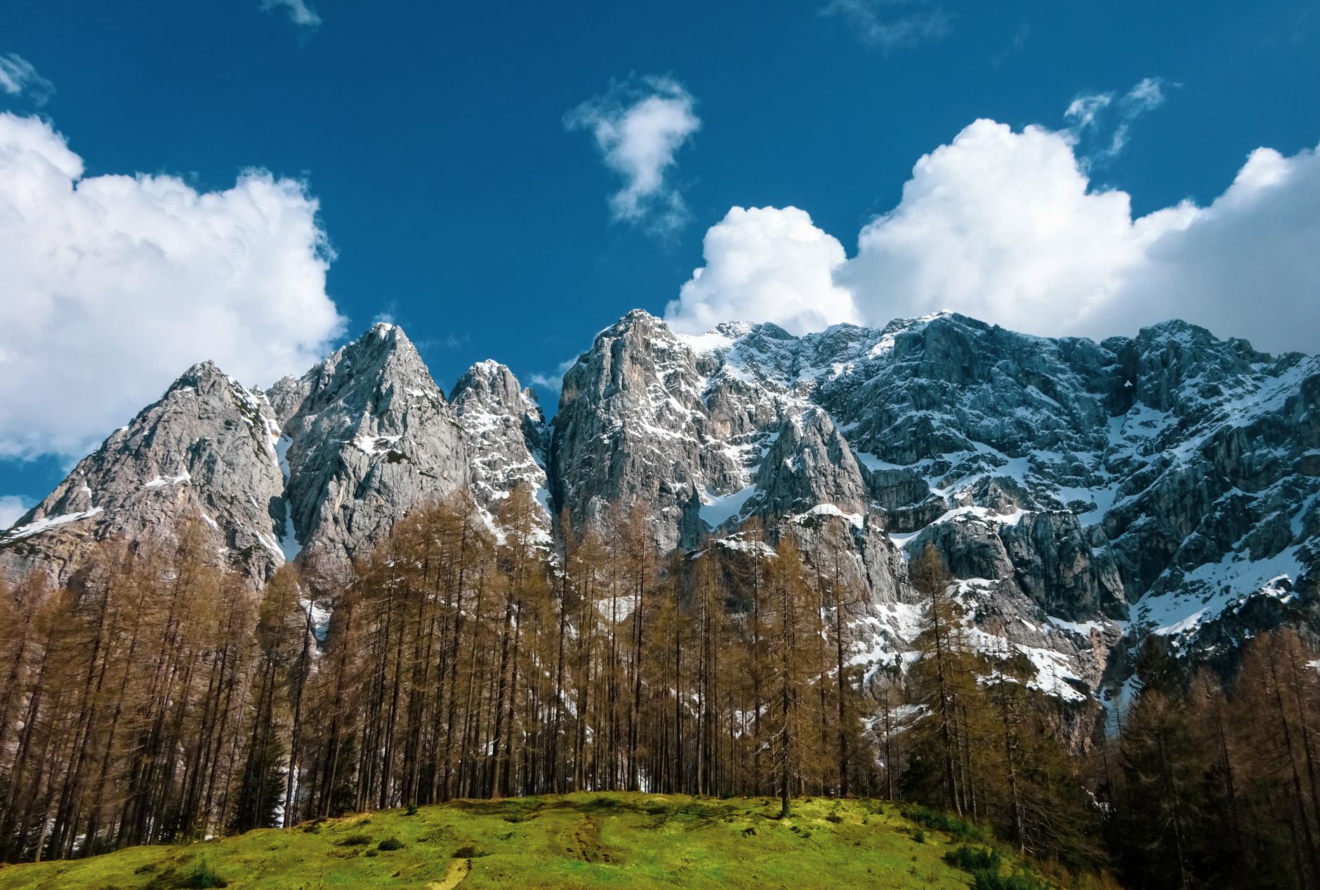 Vista cênica de picos cobertos de neve e vegetação exuberante no Parque Nacional Triglav.