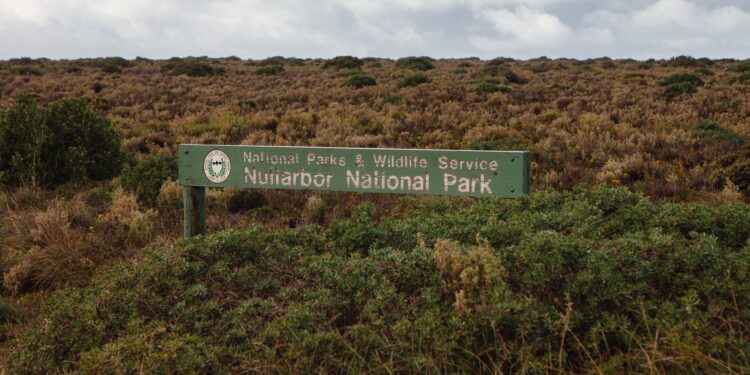 Trincheras misteriosas australia podrían revelar