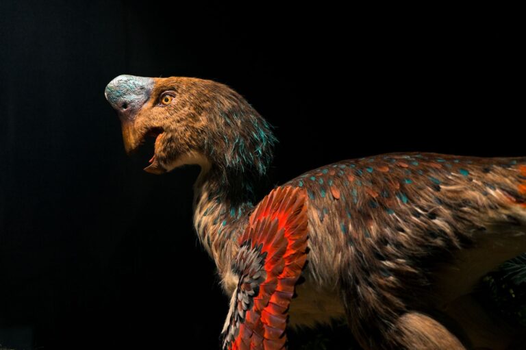 Dinosaurio con garras más metro