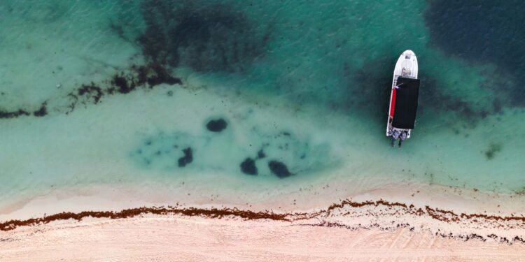 Una playa paradisíaca baja california